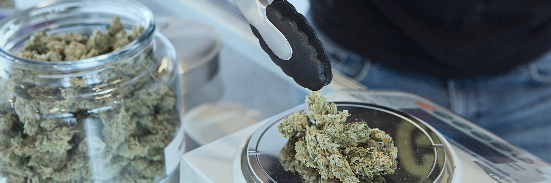 bnr_cannabis-get-budding-72798