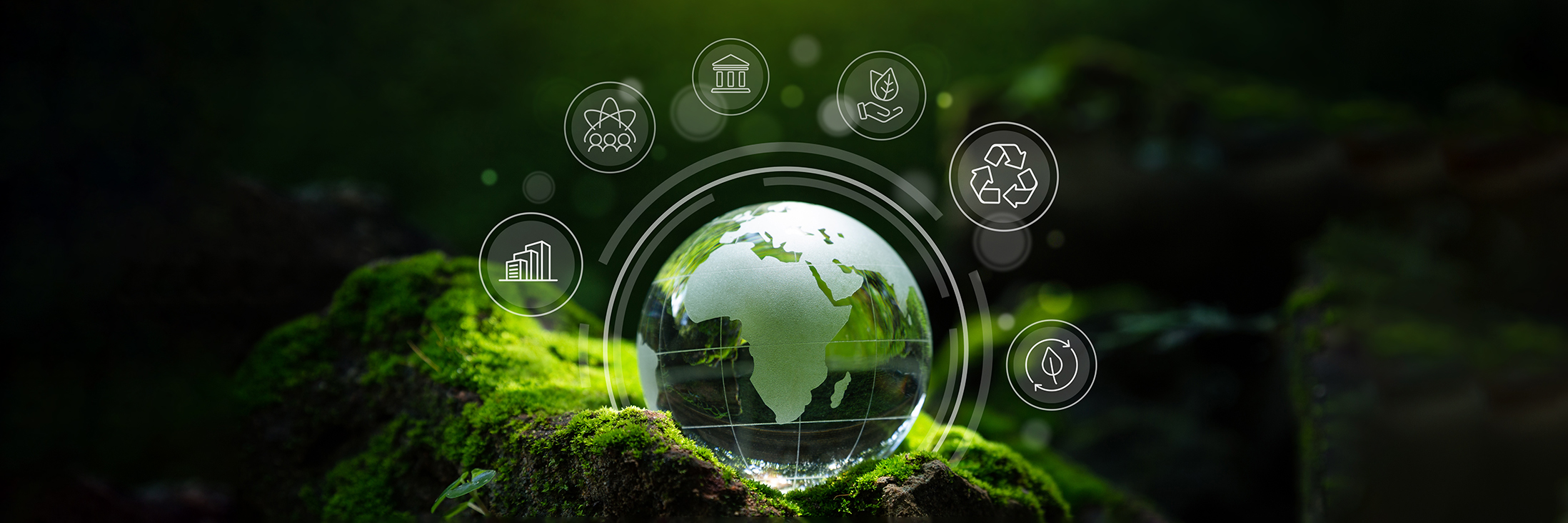 Crystal globe putting on moss, ESG icon for Environment Social and Governance,